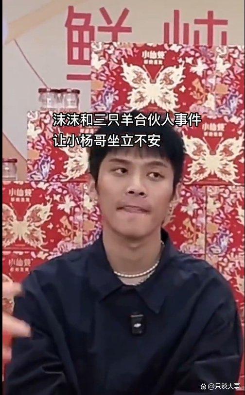 辛巴爆料三只羊最新消息,揭秘三只羊背后的故事与未来动向